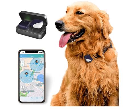 how far rfid track dog|best dog tracking devices 2022.